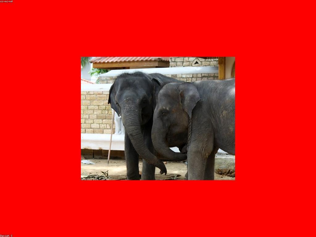 យុទ្ធសាស្ត្រសម្រាប់ការបង្កើនការចូលរួមក្នុងការលេង