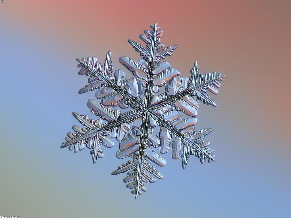 គំនិតរង្វាន់សម្រាប់ពេលពិសេស